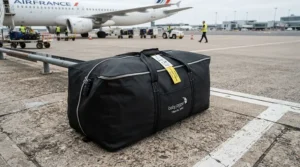 A padded travel cover protecting a twin travel stroller for airplane travel against gate-check damage.
